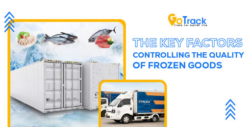 The key factors controlling the quality of frozen goods